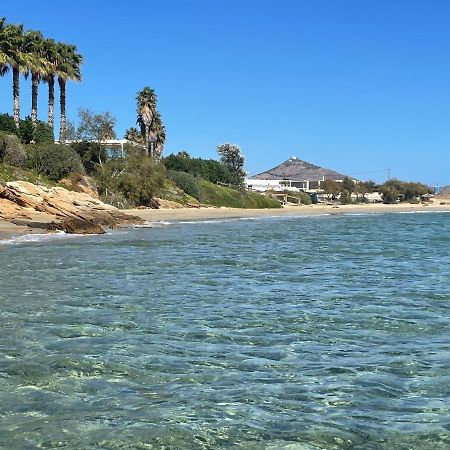 Sunkiss Paros Daire Drios Dış mekan fotoğraf