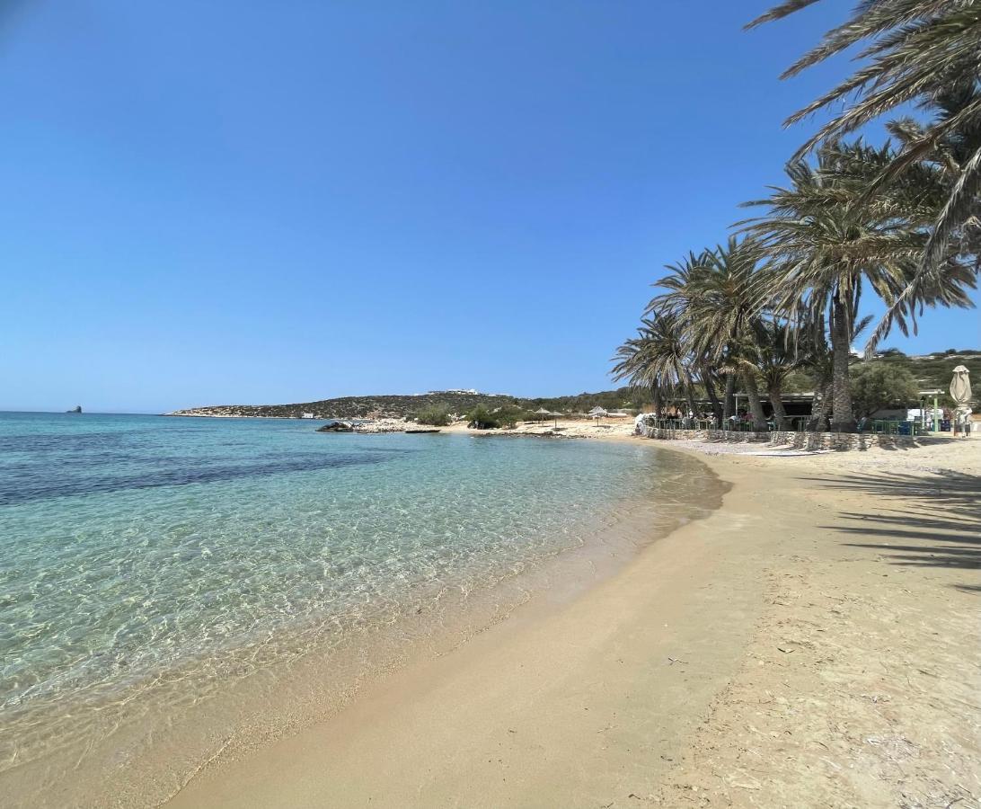 Sunkiss Paros Daire Drios Dış mekan fotoğraf